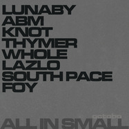 Back View : octobo - ALL IN SMALL (2LP) - OCTOTRAX / OCTRX001