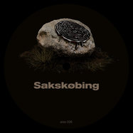 Back View : Niki IL B - LABYRINTH OF ECHOES - Sakskobing / SKKB026