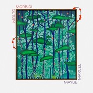 Back View : Molto Morbidi - MAYBE MARCEL (LP) - No Salad Records / NSR026