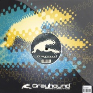 Back View : Ebe - AURAL ALLUSIONS EP - Grayhound GND049