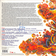 Back View : Various Artists - NUGGETS - ORIGINAL ARTYFACTS FROM THE FIRST PSYCHEDELIC ERA (1965 -1968) (2X12 LP) - Rhino / 8122797111