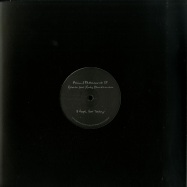 Back View : Roberta ft. Lady Blacktronika - PAIN & PLEASURE EP - Night Moves Records / NMR008