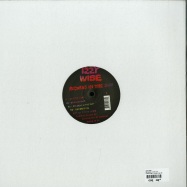 Back View : Izzy Wise - RECORDS IN THE SUN - Endless Flight / Endless Flight 86