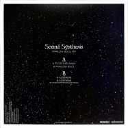 Back View : Sound Synthesis - ANALOG SOUL - eudemonia / eudemonia 008
