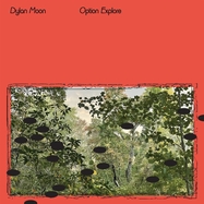Back View : Dylan Moon - OPTION EXPLORE (LP) - Rvng Intl. / 00153789