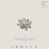 Back View : ByMySide - INSIEME RICOSTRUIRE (WHITE LP) - Vina Records / VR040