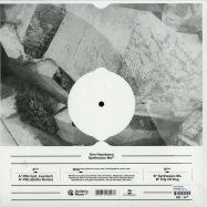 Back View : Ken Hayakawa - SYNTHESIZE ME EP - Goldmin Music / gmnv001