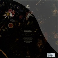Back View : Easy Changes - AYRTON SENNA EP (BABY FORD RMX) (LTD VINYL ONLY) - Nervmusic / NM010_26
