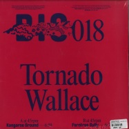 Back View : Tornado Wallace - KANGAROO GROUND / FERNTREE GULLY - Beats in Space / BIS018