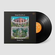 Back View : Carwyn Ellis / Rio 18 - FONTANA ROSA (LP) - Legere Recordings / 26634