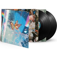 Back View : Daphni - BUTTERFLY (2LP, BLACK VINYL) - Jiaolong / JIAOLONG034LP