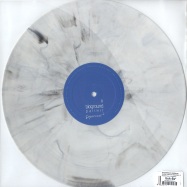 Back View : Gilles Bineaux / Bioground - SLIDING THROUGH MEANINGS / PALIKIR (GREY MARBLED VINYL) - Exquisite Music / exquisite01