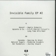 Back View : Various Artists - Invisible Family 2 - Invisible Inc / INVINC17