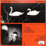 Back View : Choir Boy - GATHERING SWANS (LP) - Dais / DAIS147LP / 00139482