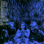 Back View : The Doors - 13 (180G LP) - Rhino / 0349784704