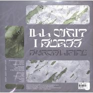 Back View : Hyroglifics - ILL WAIT I GUESS (2LP + MP3) - Critical Music / CRITLP017