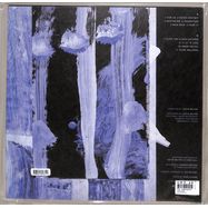 Back View : Justin Walter - DESTROYER (LP) - Kranky / 00161701