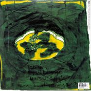 Back View : Animal Collective - PROSPECT HUMMER (12INCH+MP3) - Domino Records / AC103T