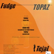 Back View : Fudge - TOPAZ - Tejal003