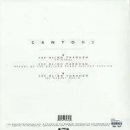 Back View : Canyons - SEE BLIND THROUGH (DJ HARVEY REMIX) - Modular Recordings / modvl151
