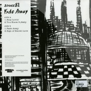 Back View : Sauce81 - FADE AWAY - Wonderful Noise / wn12028