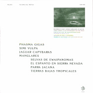 Back View : Molero - FICCIONES DEL TROPICO (LP) - Holuzam  / ZAM005