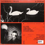 Back View : Choir Boy - GATHERING SWANS (LTD GREY MARBLED LP) - Dais / DAIS147LP / 00156426