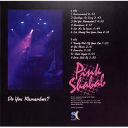 Back View : Pink Shabab - DO YOU REMEMBER (LP) - Do You Recordings / DOYOU003LP