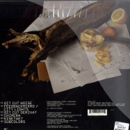 Back View : Radian - CHIMERIC  (LP) - Thrill Jockey / THRILL224LP
