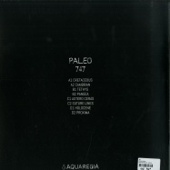 Back View : 747 - PALEO (2X12) - Aquaregia / AQR010