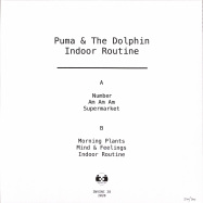 Back View : Puma & The Dolphin - INDOOR ROUTINE - Invisible Inc / INVINC28