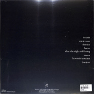Back View : Anthene - MARITIME (LP) - Ambientologist / AMB012