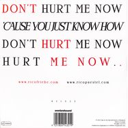 Back View : Rico Friebe - DONT HURT ME NOW (RICO PUESTELS REMIX) - Time In The Special Practiceofrelativity / RELS2X