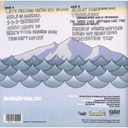 Back View : Bowling for Soup - FISHIN FOR WOOS (COL. VINYL) (LP) - Sbaem Records / 30443