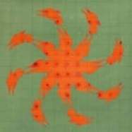 Back View : Andy Martin - TIERRA DE NAHUALES - Animalia / ANIMA19