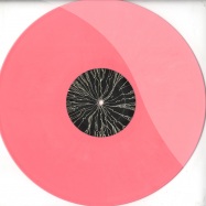 Back View : Davide Squillace - WHAT ABOUT THE VICE (COLOURED VINYL) - Desolat X / Desolatx008