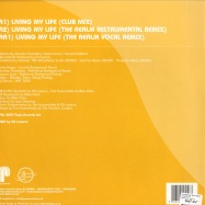 Back View : DJ Spinna feat. Tricia Angus - LIVING MY LIFE - Papa Records / papa033