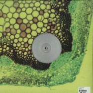 Back View : Dj Plant Texture - CYCLONE EP - Jericho One / J105