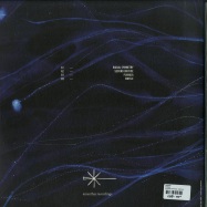 Back View : Varuna - SESSILE - Amenthia Recordings / AMEN004