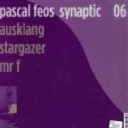 Back View : Pascal FEOS - SYNAPTIC 06 - Level Non Zero / LNZ006.66