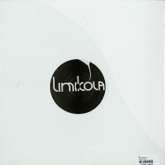 Back View : Ir - 808 HORIZON EP - Limikola / limi017