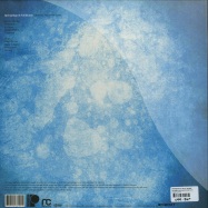 Back View : Springintgut & F.S. Blumm - THE BIRD AND WHITE NOISE (LP) - Pingipung 43 LP