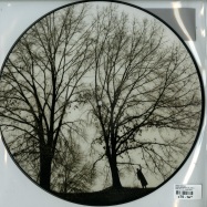 Back View : Trixie Whitley - PORTA BOHEMICA (LTD PICTURE LP) - Unday Records / unday046pic
