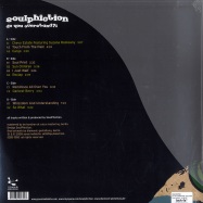Back View : Soulphiction - DO YOU OVERSTAND (2X12 INCH) - Sonar Kollektiv / SK180LPX