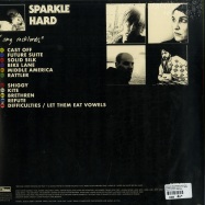 Back View : Stephen Malkmus & The Jicks - SPARKLE HARD (180G LP + MP3) - Domino Records / WIGLP429