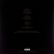 Back View : Steve Hillage - THE GOLDEN VIBE (2LP) - Madfish / 1081551MDF