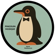 Back View : Zied Jouini - HYMN (INCL. JOHNNY D & DANIELLE ARIELLI REMIXES) - Pingouin Musique / PINGU-003