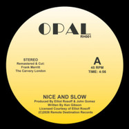 Back View : Opal - NICE AND SLOW - Remote Destinations / RD001