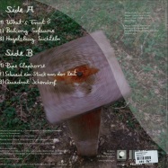 Back View : Schlammpeitziger - WHATS FRUIT (LP) - Pingipung 42 LP