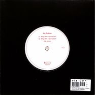 Back View : Ilija Rudman - WHAT AM I GONNA DO? (7 INCH) - Personal Records / PRED025Y / PRED25Y